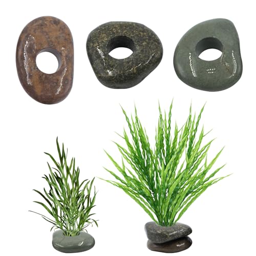 6 Pcs Natural River Stone Plant Weights for Fish Tank, Pebble Aquatic Plants Fixed Ring, Unique Anti-Floating Decorative River Rock Anchors for Aquarium Landscape Decoration (0.79'' Hole Diameter)