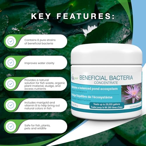 Aquascape 98950 Beneficial Bacteria Water Treatment Dry - 3.2 kg/7 lbs for Pond Water Feature Waterfall | Provides Clean, Clear and Healthy Water Conditions and Reduces Pond Maintenance - size: 7 lb