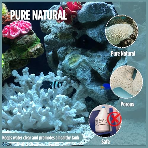 Crushed Coral for Freshwater Aquarium 500g/1.1lb Substrate Aquarium Filter Media Coral for Fish Tank Bio Media with Mesh Bag Fish Tank PH/KH Balancer Stabilize Water for Fish Tank Pond