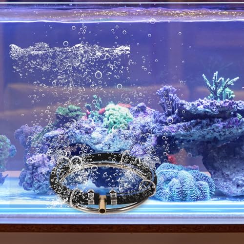 Gadpiparty Stainless Steel Pond Air Diffuser Ring 15cm Round Bubble Stone Oxygen Bubbler for Aquarium Fish Tank Indoor Outdoor Fish Pond