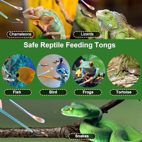LveSunny 3PCS Stainless Steel Reptile Feeding Tongs, Reptile Tweezers Set with 10.6" Straight & Curved Rubber Tips, Feeding Tongs for Reptiles and Feeding Accessories for Aquarium & Terrarium