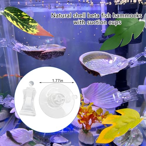 VCEPJH Betta Hammock with Suction Cups Betta Resting Spot 3 Pcs Shell Bed Toys for Aquarium Small Fish Natural Spawning Grounds Breeding Fish Tank Accessories Decorations - color: 3 Pcs Scallops +2 Pcs Oysters + 3 Plant
