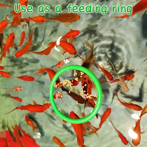 Betta Fish Enrichment Toys Ring and Mirror Floating Exercise Mirrors and Training Ring Floating Mirrors Aquarium with Feeding Rings Aquarium Accessories with Suction-Cup (Green) - color: Green