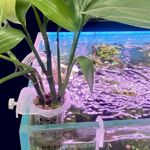MiOYOOW Aquarium Plant Holder, 2PCS Wall-Hanging Fish Tank Plant Pot with Rooting Hole for Aquarium Plants Decorations