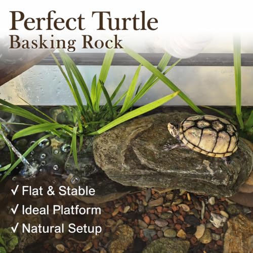 Natural Stream Stones 15-18pcs Large Aquarium Rocks 30lb Turtle Basking Platform & Reptile Slate Stones for Fish Tank & Habitat Decor(2-11 Inches) - size: 30lb(15-18pcs)