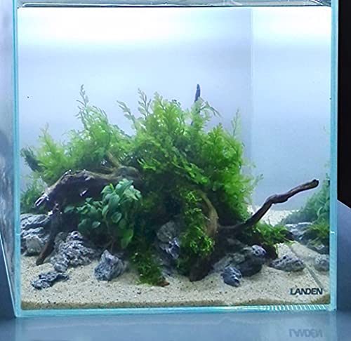 LANDEN Namale Aquarium Sand 2L(Approx 7 lbs), Super Natural Sand for Aquarium Landscaping, Cosmetic Sand for Fish Tank, Fine Grain Substrate for Freshwater or Blackwater Biotope Tank - size: M,2Lx1pk