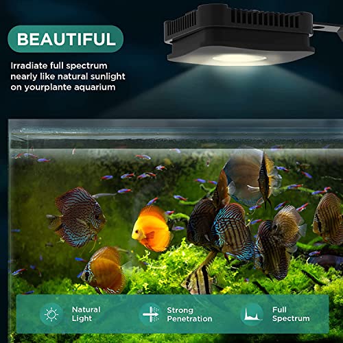 Lominie LED Aquarium Light, Full Spectrum Fish Tank Light, Clip on Freshwater Planted Light Adjustable Gooseneck for Freshwater Coral Fish Tanks, Dimmable Nano Refugium Tank Light Supports Remote Wifi - size: P30 Freshwater