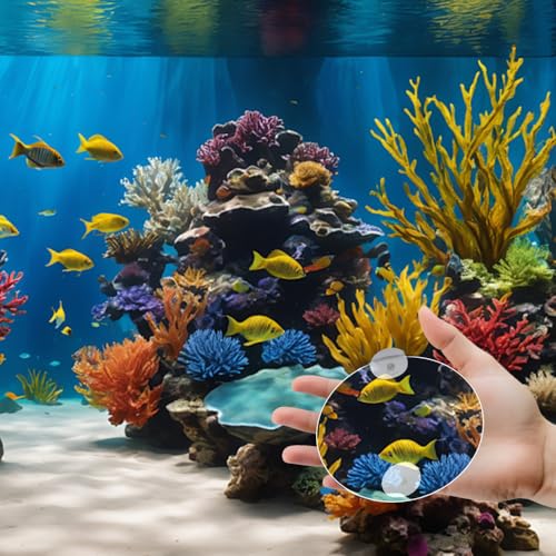 4 Pcs Fish Tank Decorative Mirror Betta Training Mirror Fish for Tank Fish Work Out 4/6/8/10cm Special for Betta Fitness Mirror, with Suction Cups Aquarium Mirror Acrylic Decorative Mirror