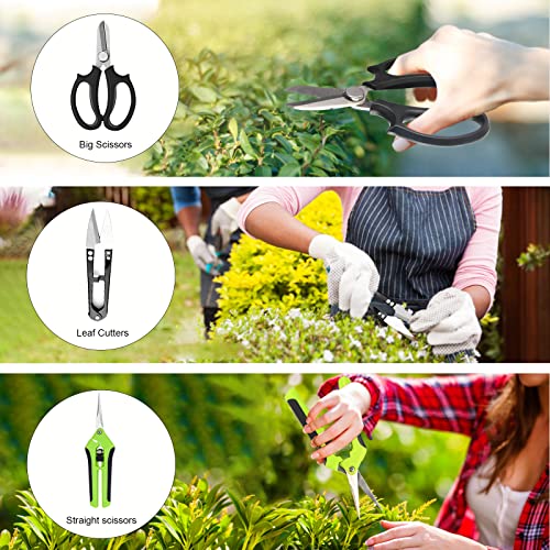 Bonsai Tree Kit, 20 Pcs Gardening Succulent Tools Set, Bonsai Tool Kit Include 262 Feet Bonsai Wire, 29.5"x29.5" Plant Repotting Mat, Bonsai Scissors, Pruning Shears, Unique Gift for Indoor Gardening - style: Green
