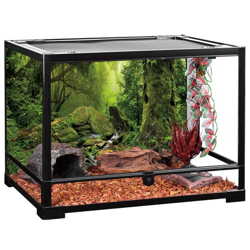 AWERT Tropical Forest Terrarium Background Stream Green Huge Tree Reptile Habitat Background Foggy Rainforest Aquarium Background 48x20 inches Durable Polyester Background - size: 48 x 20 inches