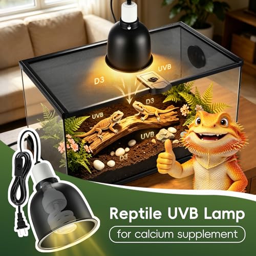 10 Gallon Reptile Terrarium Glass Kit 20" x 12" x 10" Starter Habitat for Tarantula, Succulents, Frogs, Gecko, Snake or Hermit Crabs, Tank with Escape-Proof Locking Lid - size: 10 gallon