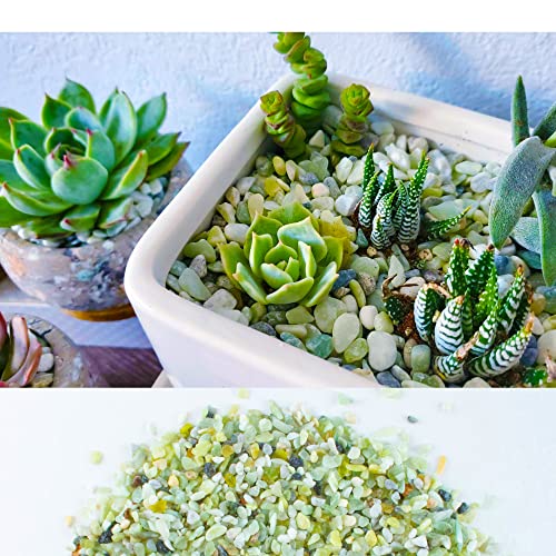 18lb Jade Bean Pebbles,1/4 Inch Cactus Bonsai DIY Rocks, Natural Succulent Rock and River Rocks Decorative for Aquariums, Vases, Terrarium, Outdoor Gardening, Top Dressing for Potted Plants - color: Light Green, size: 18LB