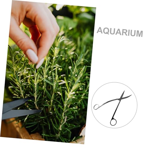 Toddmomy Stainless Steel Aquarium Plant Scissors for Trimming Aquatic Plants Portable Fish Tank Algae Trimmer Ergonomic Handle Aquarium Cleaning Tool for Easy Maintenance