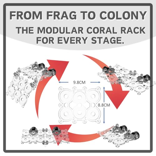 Coral Frag Rack for Aquarium, N52 Strong Magnetic Holder with 12 Frag Plugs, Polycarbonate Not Acrylic Never Yellow, Stackable Non-Slip Base, Fits up to 0.6" Glass, Reef Magnets Rack
