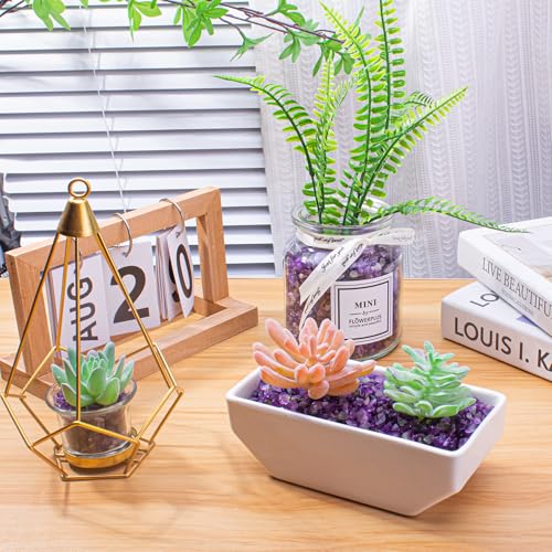 0.88 Lb Amethyst Crushed Stones Crystal Quartz Chips, Natural Tumbled Stones Irregular Shaped Gravels Pebbles Healing Stones for Vases Filler, Aquarium Gravel Rocks, Succulent Plants Decor - color: Amethyst, size: 0.88 LB