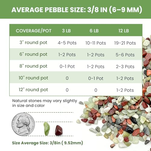 Gravel for Plants, 3/8 Inch Pebbles Polished Decorative Aquarium Gravel - Small River Rocks for Fish Tank, Succulent, Vase, Bird Bath, Garden Landscaping and Top Dressing-3LB