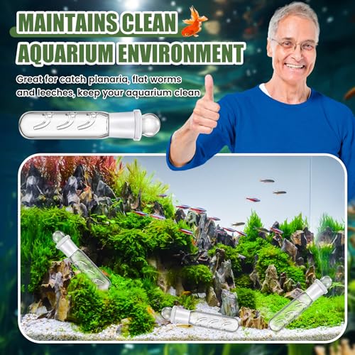 Qualirey 4 Pack Planaria Catch Trap for Aquarium Snail Leech Clear Glass Planaria Trap for Dwarf Shrimp Red Cherry Shrimp Tank(3 Holes) - style: 3 Holes