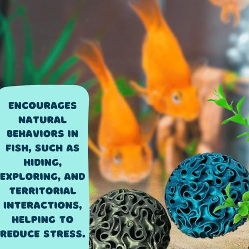 REEFSHAPE Aquarium Coral Reef Dome - Aquarium Reef Replica for Fish Shelter & Egg Laying - Aquarium Safe Dome Structure for Fish Shrimp & Aquatic Pets (Aurora Green)