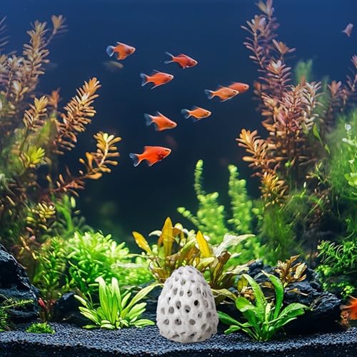 Shrimp Hides for Aquarium Plastic Aquarium Fish Tank Tunnel with Suction Cup, Betta Habitat Cave Shelter Hideout for Shrimps Guppy Hiding Resting