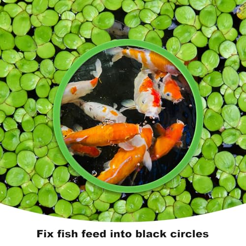 PAGOW 10pcs Fish Feeding Rings Set, Floating Aquarium Plant Corral, Round Fish Feeder Rings for Fish Tank, Floating Plant Ring, Fish Tank Aquarium Accessories for Betta (Green) - color: Green(round)