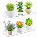 Lifewit Window Plant Floating Shelves 14.6x3.6, 2 Pack Acrylic Suction Cup Shelf, Window Sill Extender for Indoor Succulent Plants, Micro Greens, Seed Starter Pots, Herb Planters 37 x 9 cm/14.6x3.6