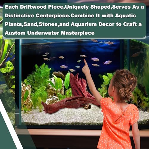 Natural Wood Driftwood for Aquarium Fish Tank Decor,Assorted Driftwood Trunk Branch for Reptile Tank Decor (MOP-ZYM Driftwood Medium (8 to12 Inch)-Pack of 1) - color: MOP-ZYM Driftwood Medium (8 to12 Inch)-Pack of 1
