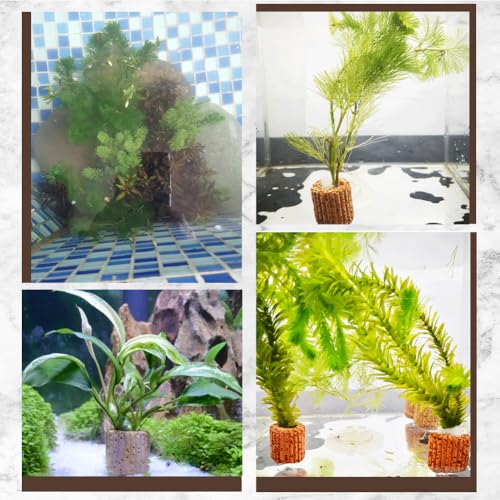 16Pcs Aquatic Plant Holder Fish Tank Plant Ring Lava Rock Small Reusable Column Coconut Brown Water Grass Floating Cultivation Pot Fixed Rings Accessories for Fish Tanks Landscape DIY Decor