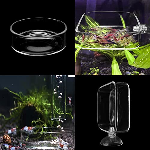 Aquarium Shrimp Feeder Dish Glass Fish Tank Feeding Bowls, 2pcs Square Glass Food Bowl (60mm), 1pcs Round Fish Feeding Bowls with Suction Cups (60mm) - size: 3x Bowl Combine 4