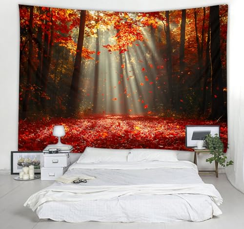 WODEJIA Autumn Forest Tapestry, Red Maple Leaves Fall Landscape Wall Hanging, Sunlight Through Trees Nature Tapestry for Bedroom Living Room Dorm Decor, Art Home Decoration Gift（79"x59"inches） - color: Autumn Leaf Forest, size: 79"L x 59"W