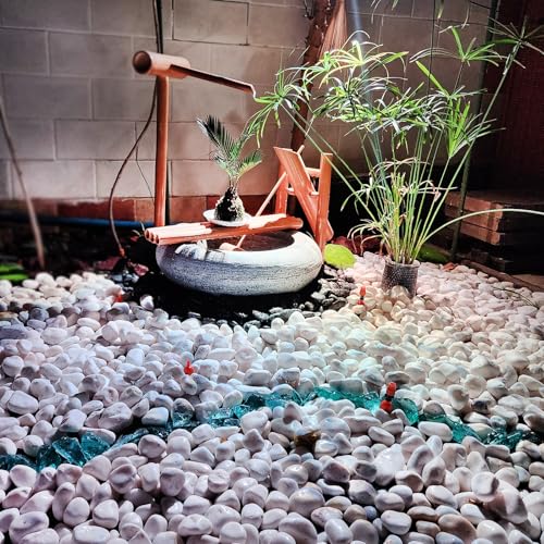 FANTIAN 5 lbs White Pebbles for Indoor Plants, 1-2 Inch Small White River Rocks for Plants, Decorative Polished Stones for Landscaping Vase and Outdoor Garden - color: White, size: 5 lbs, 1-2 Inch