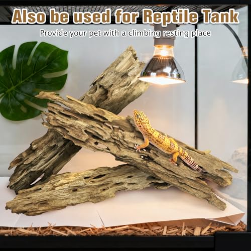 PINVNBY Natural Driftwood for Aquarium Large Reptile Terrarium Decor Decorations Assorted Branches Dearded Dragon Tank Accessories (Slim Style: 7.87-11.8 inches/3 Pack) - size: L:Honeycomb wood (7.87- 11.8 inches/3 Pack)
