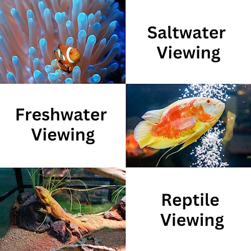 Flipper DeepSee Aquarium Magnifier Magnetic Viewer, Orange Filter Lens & Rechargeable LED Spotlights – Fish Tank Magnifying Glass – Flipper Fish Tank Accessories, 5"