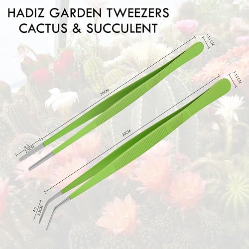 HADIZ Stainless steel Garden Tweezers Two Piece Set For Catus and Succulents 8 Inch Size (Straight & curved)