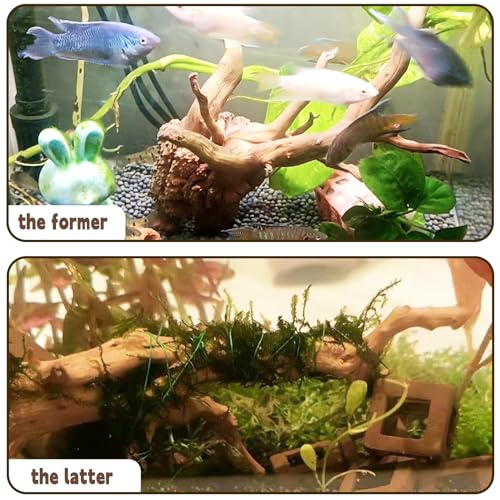 Hamiledyi 6-8in Aquarium Driftwood 3PCS Reptile Spider Wood Assorted Branches Natural Trunk Driftwood Tree Fish Tank Decoration - size: S:Spiderwood (6-8in 3PCS)