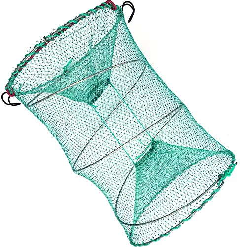 Drasry Foldable Fishing Trap for Bait Shrimp Crawfish Minnow Net Portable Accessories 11.8 x 11.8 x 15.7 (30cm x 40cm) 1/4 in Mesh Collapsible Fish Trap - color: 2Pcs