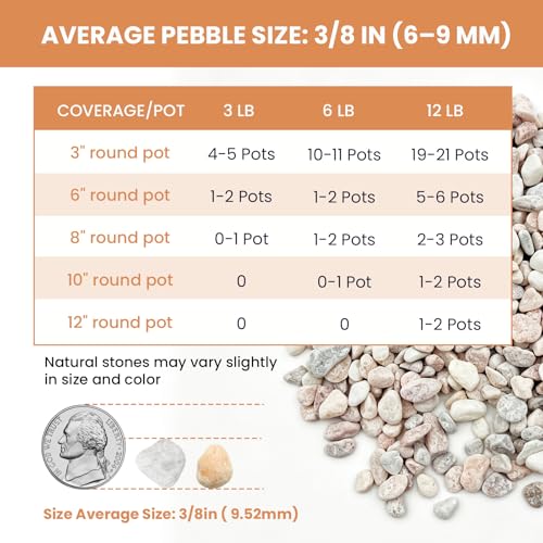 3/8 Inch Decorative Pebbles, Natural River Rocks for Indoor Plants, Succulents, Planters, Vases, Fish Tank Décor & Landscaping, Blush Pink, 12LB - color: Pink, size: 12LB