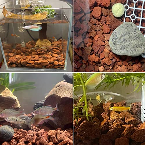 Tfwadmx 10 Pack Aquarium Red Lava Rock Fish Tank Volcanic Pumice Stones for Shrimp Betta(1.18''-1.96'') - color: Red, size: M:1''-2''