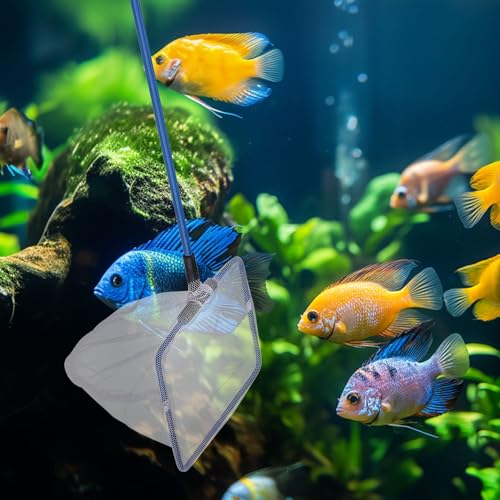 Mogoko Fish Net Aquarium, Small Fish Tank Net with Long Plastic Handle, Square net with Fine Mesh for Tank Cleaning - size: 4 Inch