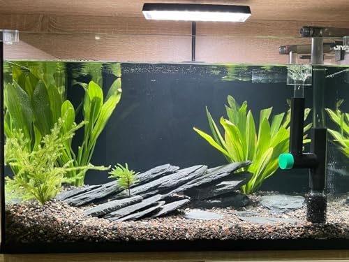 Aquarium Rock Natural Slate Rocks 2 to 6 inch Aquariums Stone for Aquascaping,Terrariums,Reptile Enclosures,Paludariums, and Gardens-10lb - size: 10lb(2-7'')