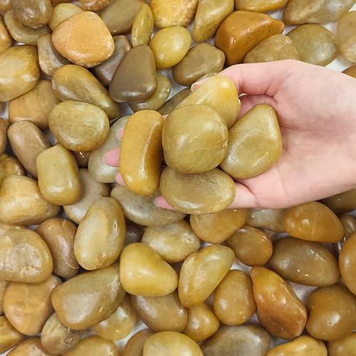 FANTIAN 10 lbs Yellow River Rocks, 1-2 Inch Polished Pebbles for Indoor Plants, Decorative Rocks Stones for Landscaping, Vases, Aquariums, Fountains, Pathways, Backyard and Garden - color: Yellow, size: 10 lbs, 1-2 Inch