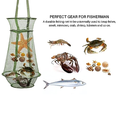 Collapsible Fish Basket Mesh Fish Trap Portable Fish Cage Foldable Fishing Keep Net for Keeping Fish Alive, Bait Storage Crayfish Crab Minnows Shrimps Lobsters - color: Green-2pcs