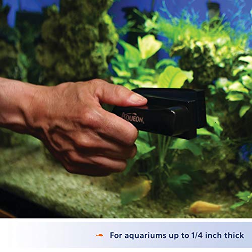 Aqueon Aquarium Algae Scraper, Fish Tank Cleaning Magnets for Glass/Acrylic, Small, Black (Pack of 3) - size: Small (Pack of 3)