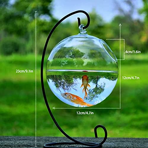 Spherical Glass Handmade Fish for Round Shape Hanging Glass Aquarium Fish Bowl Clear Plant Terrarium