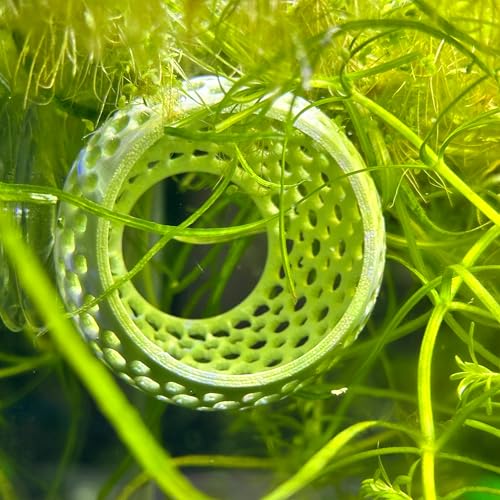 Betta Bulb Hide | Betta Rest Fish Tank Ornament | Aquarium Cave with Suction Cup for Small Fish Tank, Betta Habitat, Shrimp Hideout, Aquatic Decor (Pure White)