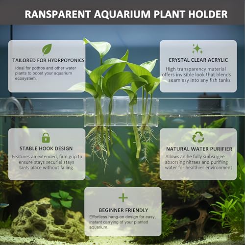 2 Pack Hanging Aquarium Plant Holder – 7-Hole Fish Tank Plant Pot for Pothos & Aquatic Plants, Floating Plant Corral, Aquascape Decor, Rim Plant Holder (Transparent) - color: Transparent