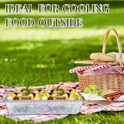 Baderke 2 Set 16" x 9" Plastic Chilled Serving Tray for Parties with Compartments Ice Chilled Party Platter Charcuterie Serving Board Cold Dish Dip for Fruit Seafood Vegetable Appetizer (Clear) - color: Clear