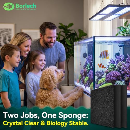 Borlech Aquarium Bio Filter Sponge Pad - Cut-to-Size Aquarium Filter Media for Fish Tank, Pond, Sump - Mechanical & Biological Filtration (18.5"x18.5"x0.8", 50PPI, 2 Pack) - size: 18.5"x18.5"x0.8" (50PPI) 2 PACK