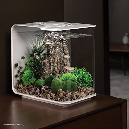 biOrb Flow 15 Acrylic 4-Gallon Aquarium with White LED Lights Modern Compact Tank for Tabletop or Desktop Display, White - color: White with LED Lighting, size: 4 Gallon