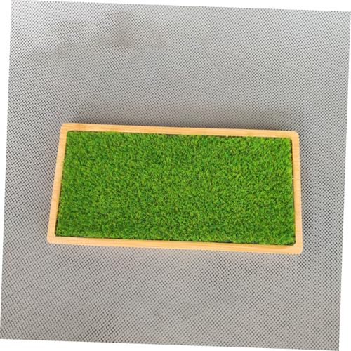 Garneck Resin Ornament Display Stand Tray and Artificial Grass Mat for Handicrafts Figures Dolls and Jewelry Organization Home Decor