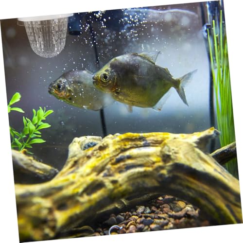 HEMOTON 2pcs Aquarium Fish Breeding Box Isolation Hatchery for Guppies Floating Design Easy Installation Versatile for Fish Tank